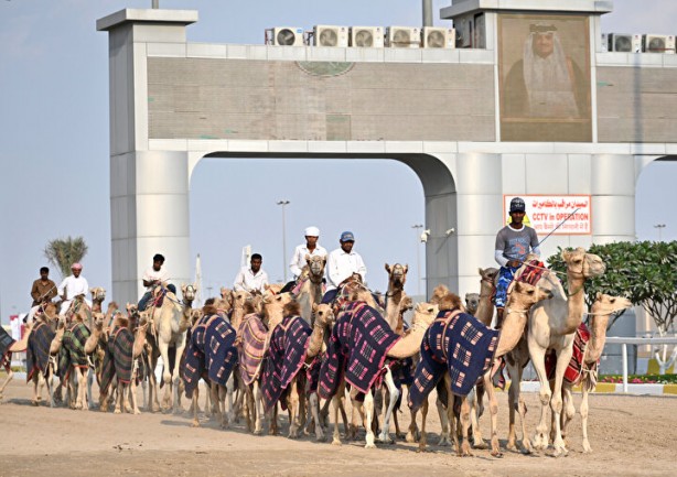Foto - Dünyada böylesi daha önce görülmedi: Develer üzerinde hentbol maçı oynandı