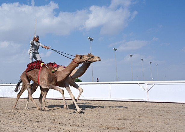 Foto - Dünyada böylesi daha önce görülmedi: Develer üzerinde hentbol maçı oynandı