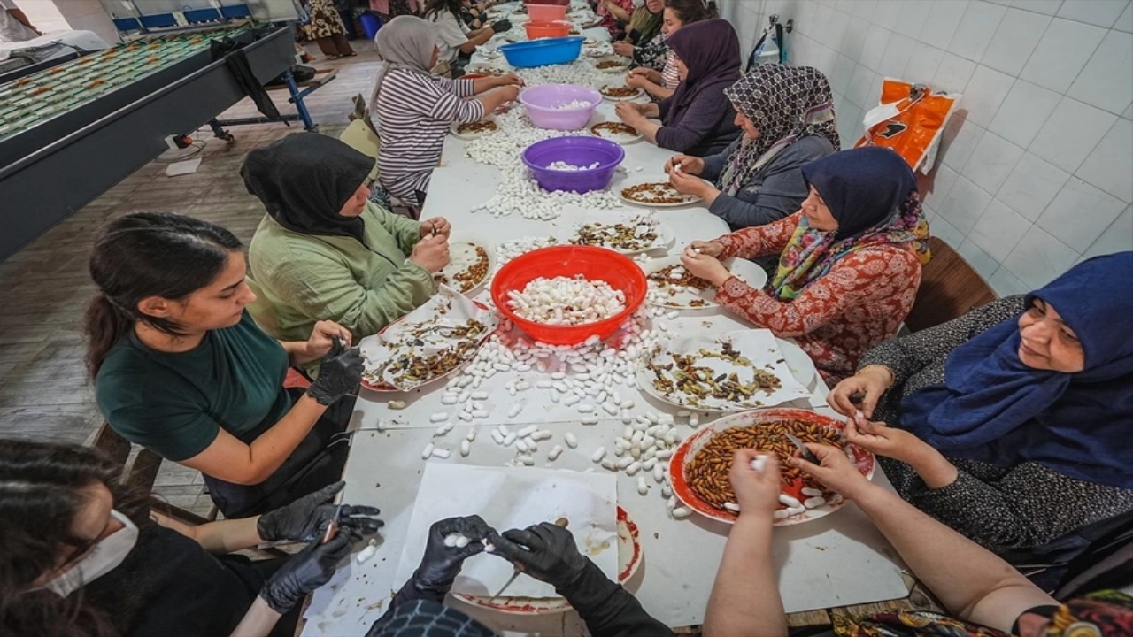 Foto - Dünyada bu üretim tesisinden sadece 7 tane var, biri Bursa’da! Allah’ın şu hikmetine bakın