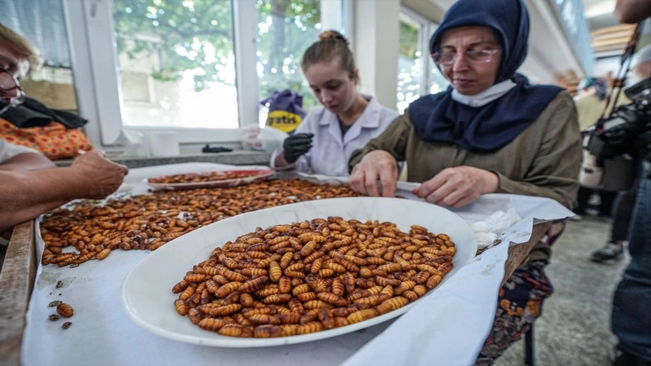 Foto - Dünyada bu üretim tesisinden sadece 7 tane var, biri Bursa’da! Allah’ın şu hikmetine bakın
