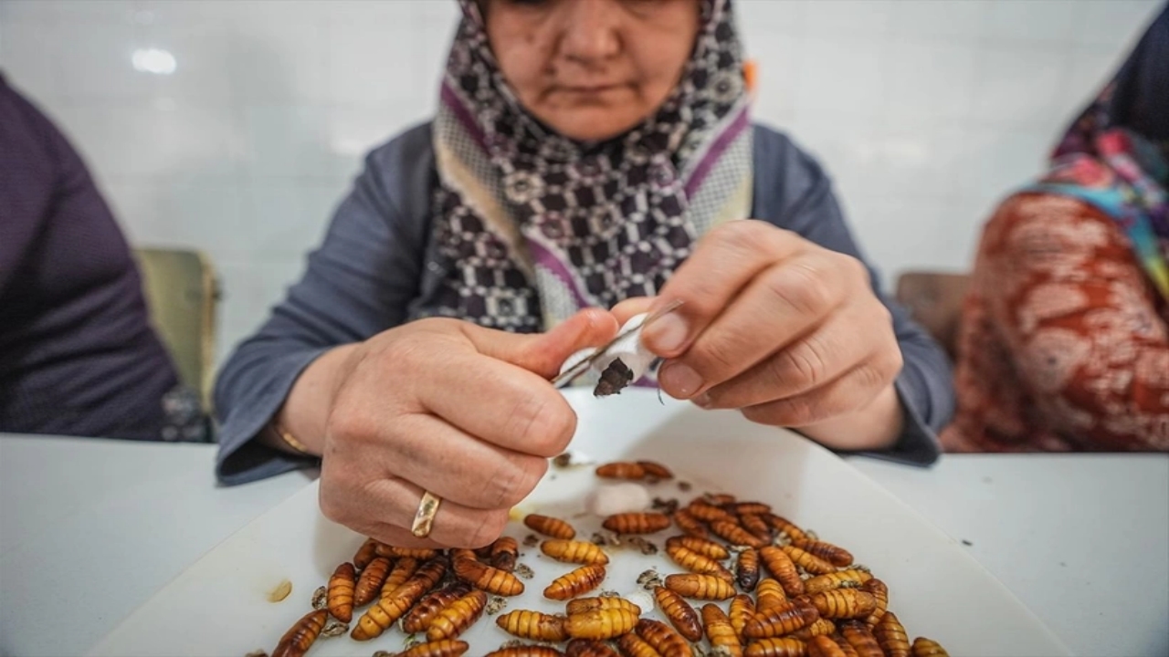 Foto - Dünyada bu üretim tesisinden sadece 7 tane var, biri Bursa’da! Allah’ın şu hikmetine bakın