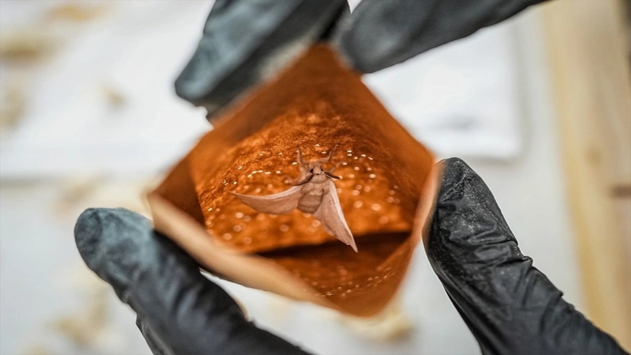 Dünyada bu üretim tesisinden sadece 7 tane var, biri Bursa’da! Allah’ın şu hikmetine bakın