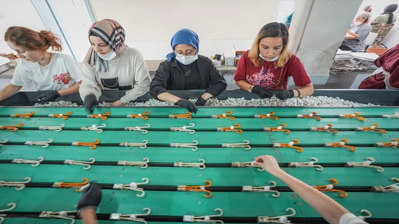 Foto - Dünyada bu üretim tesisinden sadece 7 tane var, biri Bursa’da! Allah’ın şu hikmetine bakın