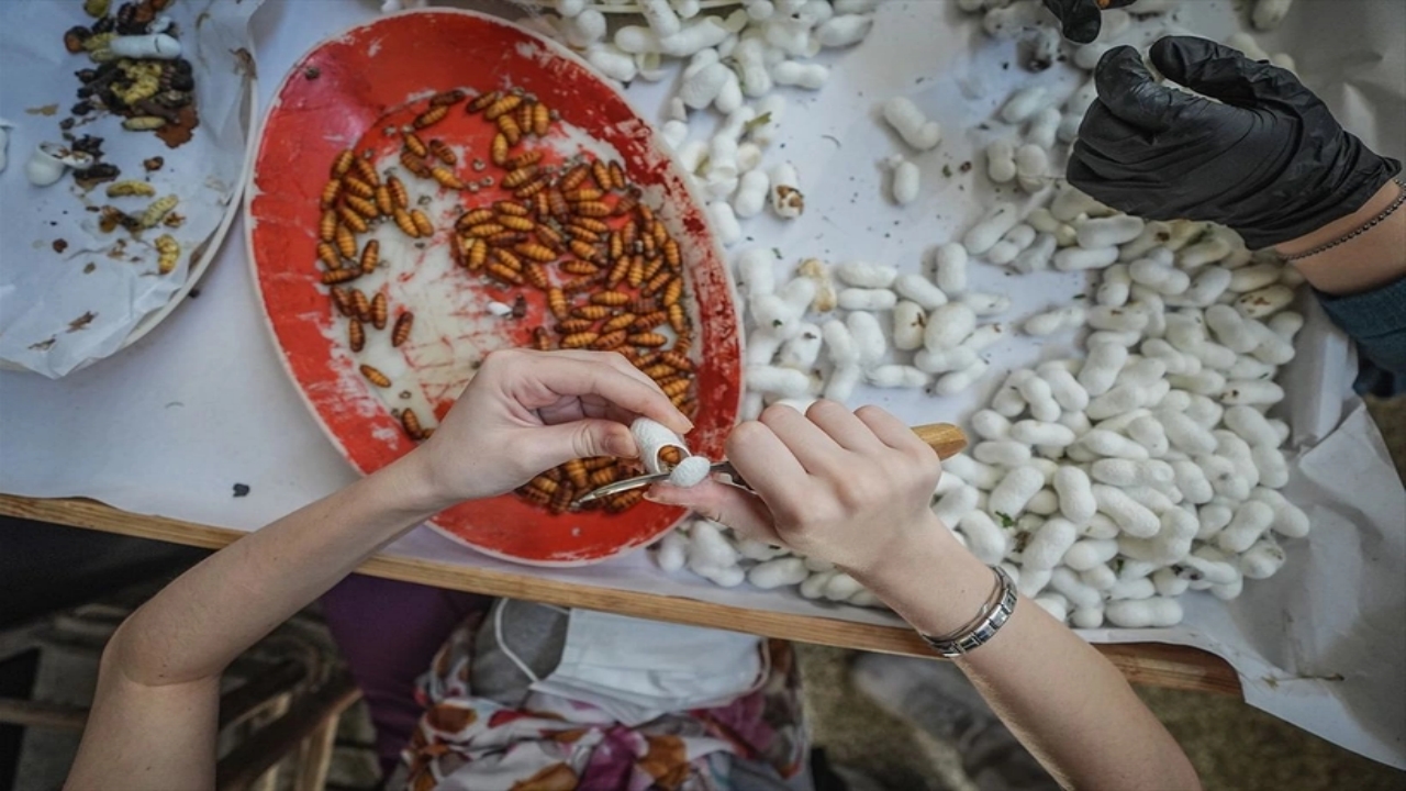 Foto - Dünyada bu üretim tesisinden sadece 7 tane var, biri Bursa’da! Allah’ın şu hikmetine bakın
