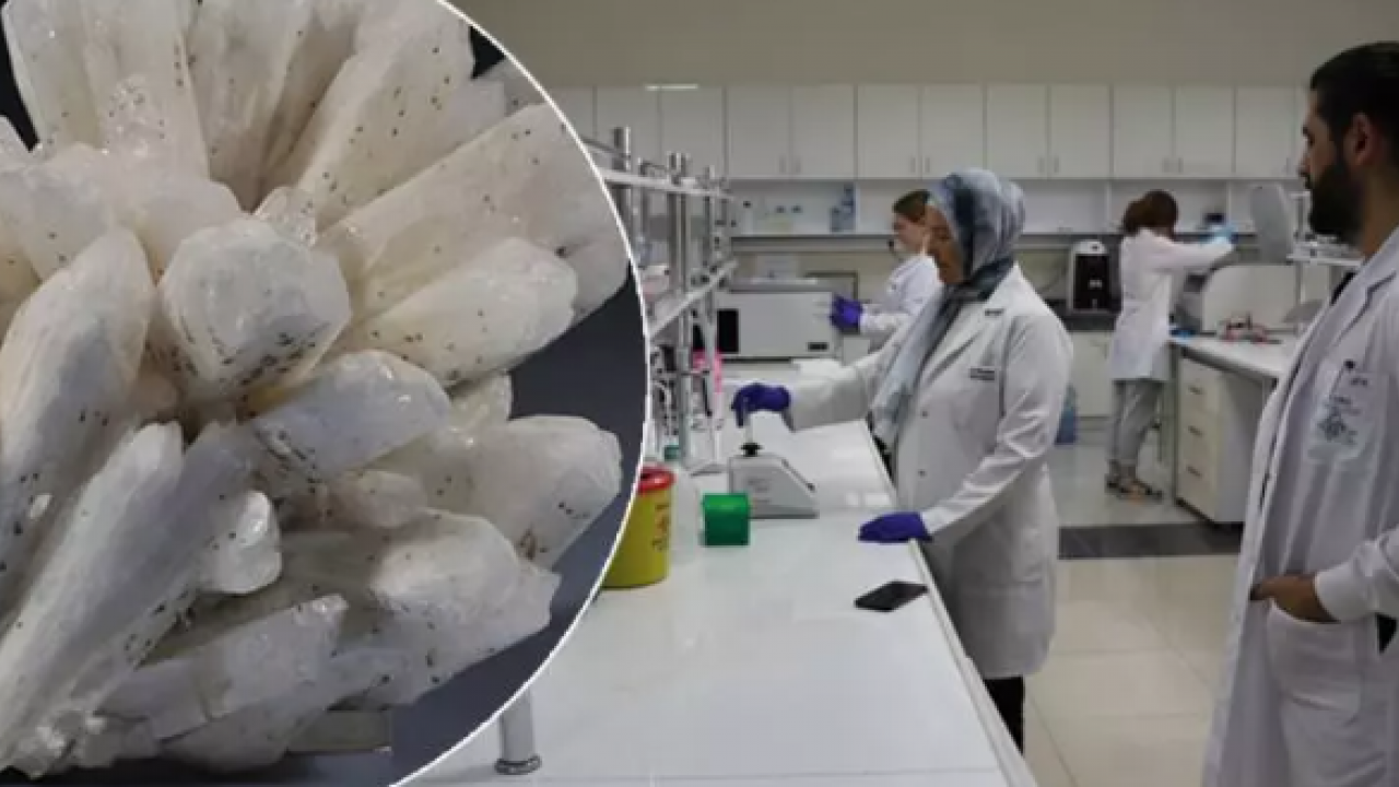 Dünyada en çok Türkiye'de var: Kanser karşıtı özelliği gün yüzüne çıktı!