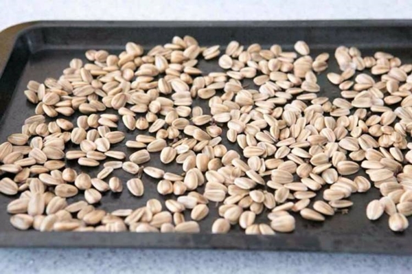 Foto - Dünyada futbol seyircileri maçlarda ne yiyor?