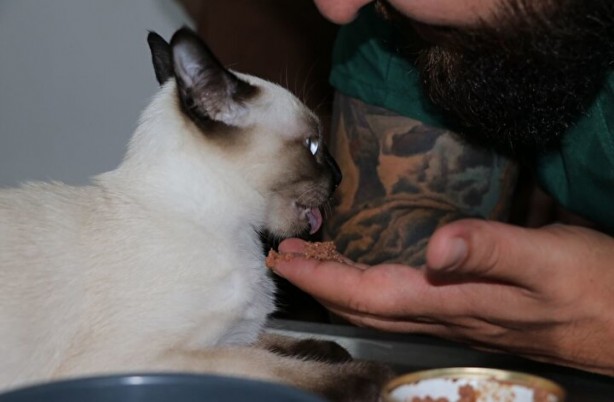 Dünyada ikinci kez oluyor! Kardeşi kuyruğuna yapışık doğdu