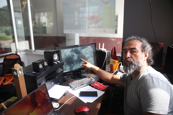 Foto - Dünyada ilk gerçekleşiyor! Akdeniz tropikleşiyor