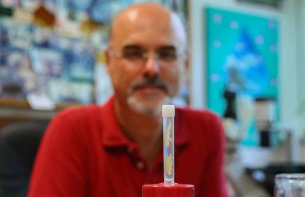 Foto - Dünyada ilk kez oluyor! Türkiye'nin en derin üçüncü mağarasında keşfedildi! Yok böyle bir şey