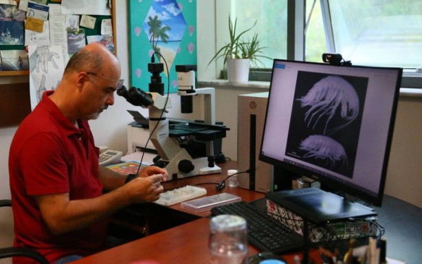 Foto - Dünyada ilk kez oluyor! Türkiye'nin en derin üçüncü mağarasında keşfedildi! Yok böyle bir şey