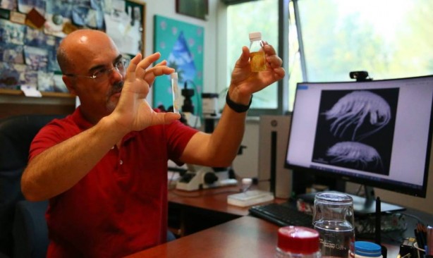 Foto - Dünyada ilk kez oluyor! Türkiye'nin en derin üçüncü mağarasında keşfedildi! Yok böyle bir şey