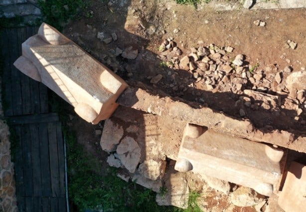 Dünyada ilk olma özelliği taşıyor! Kocaeli'de bulundu