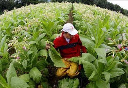 Foto - Diğer ülkelerde insanlar kaç yaşında emekli oluyor?
