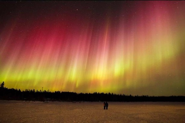 Foto - Dünyada insanlardan önce kimler yaşıyordu?