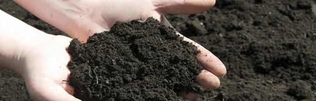 Foto - Dünyada insanlardan önce kimler yaşıyordu?