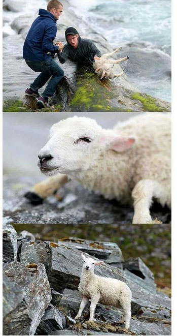 Foto - Dünyada iyiliğin varolduğunu kanıtlayan fotoğraflar