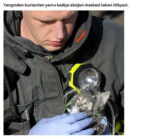 Foto - Dünyada iyiliğin varolduğunu kanıtlayan fotoğraflar