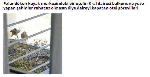 Foto - Dünyada iyiliğin varolduğunu kanıtlayan fotoğraflar