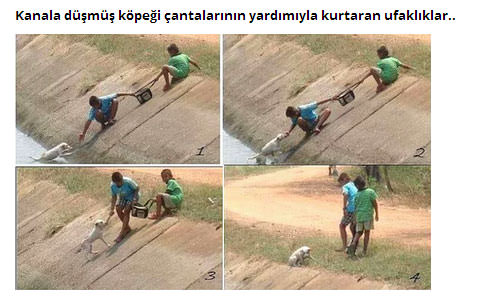 Foto - Dünyada iyiliğin varolduğunu kanıtlayan fotoğraflar