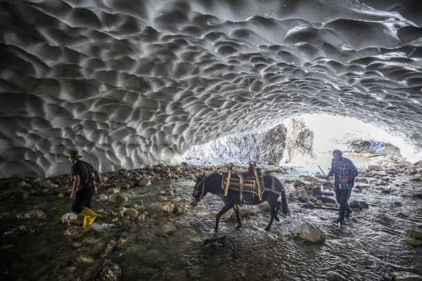 Foto - Dünyada nadir bulunuyor! Fransızlar, Ruslar ve Ukraynalılar akın etmeye başladı... Hepsi görünce şaşıp kalıyor
