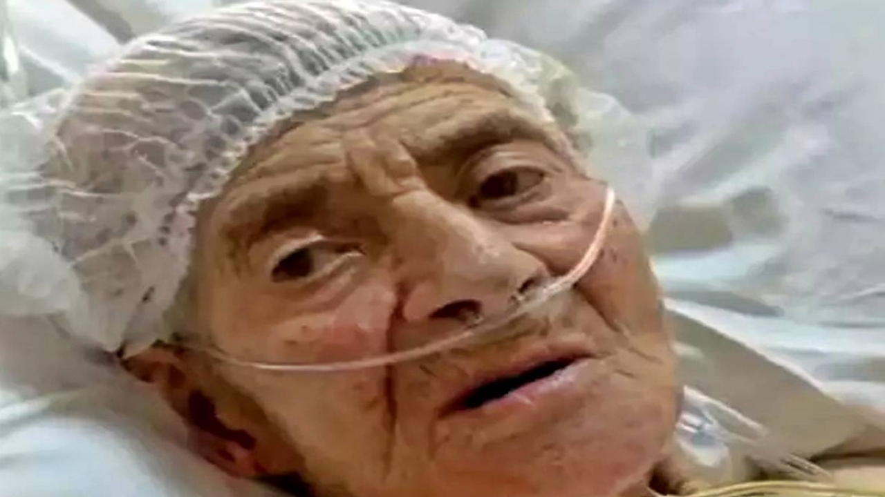 Foto - Dünyada örneği yok! Karın şişliğiyle gitti, karnından 90 santimetrelik kedi-köpek...