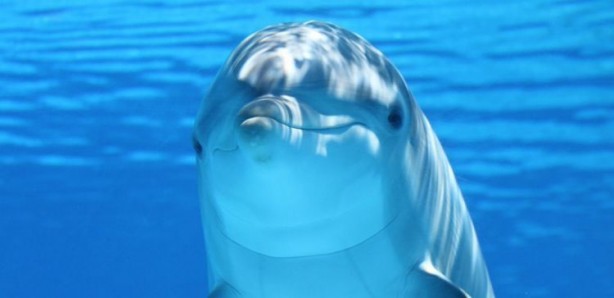 Foto - Dünyada para yerine geçen en garip şeyler! Gördüklerinize inanamayacaksınız