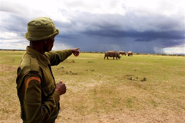  Dünyada sadece 3 tane kaldı!