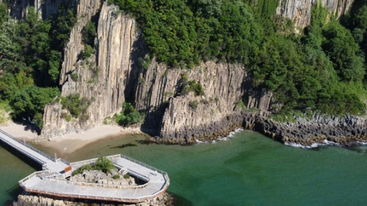 Foto - Dünyada sadece 4 tane var! Bakın bir tanesi hangi ilimizde