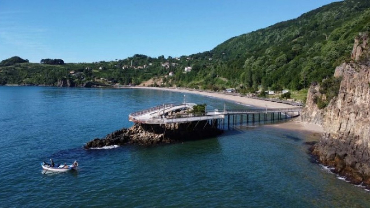 Foto - Dünyada sadece 4 tane var! Bakın bir tanesi hangi ilimizde