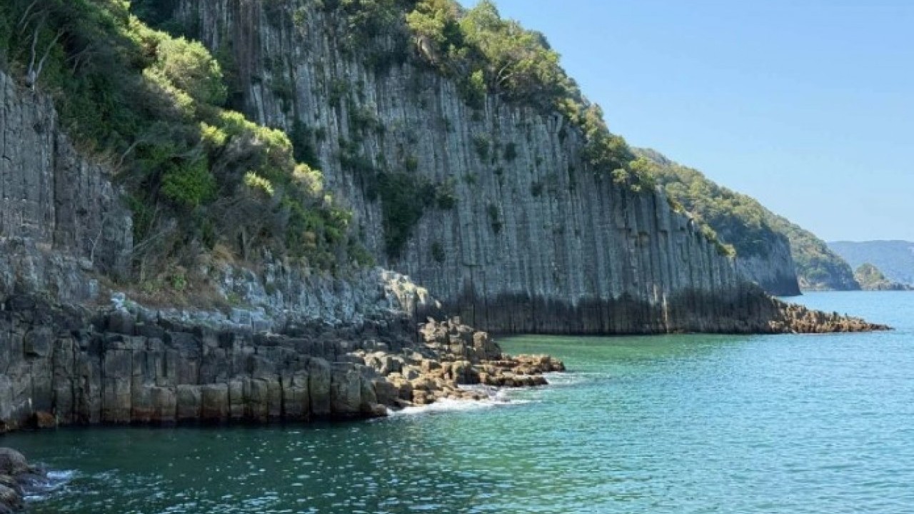 Foto - Dünyada sadece 4 tane var! Bakın bir tanesi hangi ilimizde