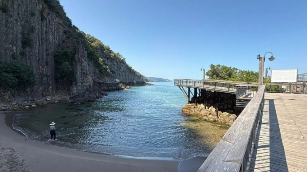 Dünyada sadece 4 tane var! Bakın bir tanesi hangi ilimizde