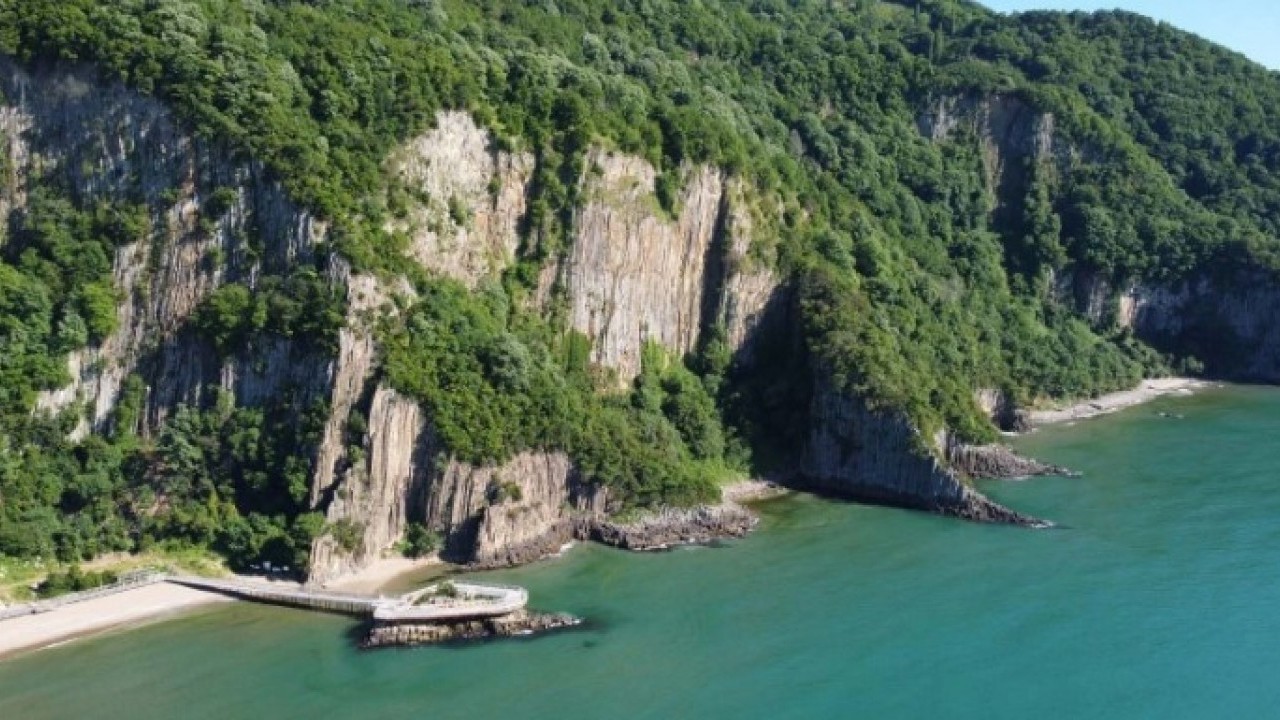 Foto - Dünyada sadece 4 tane var! Bakın bir tanesi hangi ilimizde