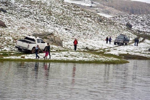 Foto - Dünyada sadece Niğde'de yaşıyor