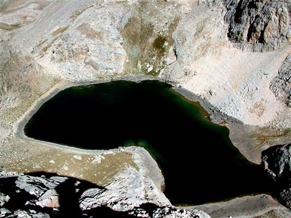  Dünyada sadece Niğde'de yaşıyor