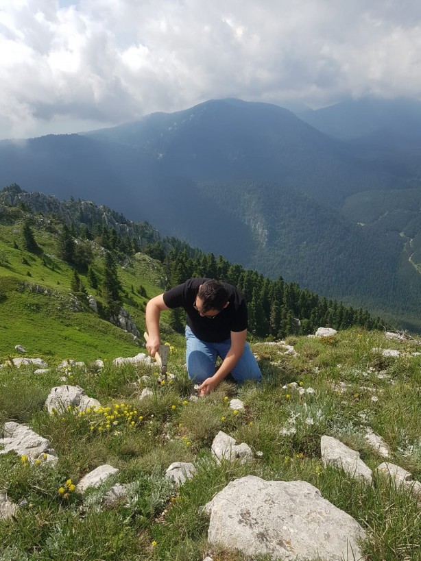 Foto - Dünyada sadece o ilimizde bulunuyor! Bilim dünyası heyecanlandı