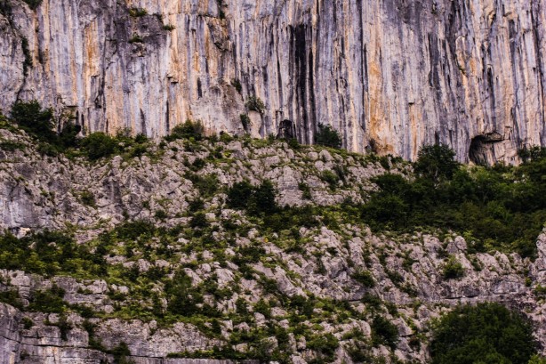 Foto - Dünyada sadece o ilimizde bulunuyor! Bilim dünyası heyecanlandı