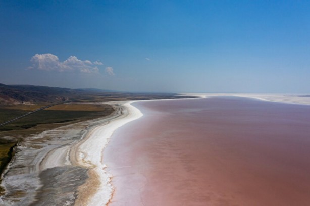 Foto - Dünyada sadece sekiz tane var: Birisi Türkiye'de