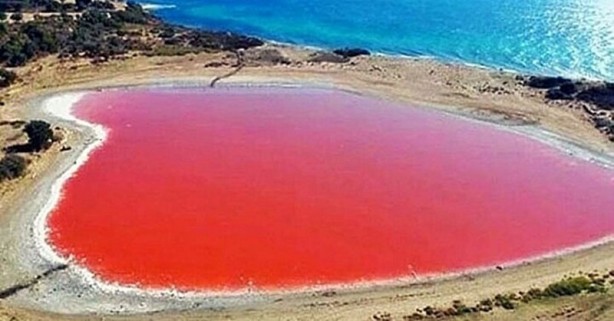 Foto - Dünyada sadece sekiz tane var: Birisi Türkiye'de