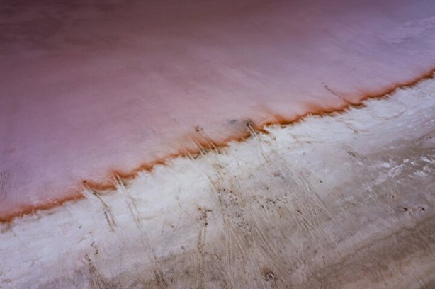 Foto - Dünyada sadece sekiz tane var: Birisi Türkiye'de