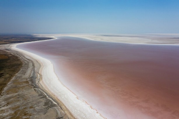 Foto - Dünyada sadece sekiz tane var: Birisi Türkiye'de