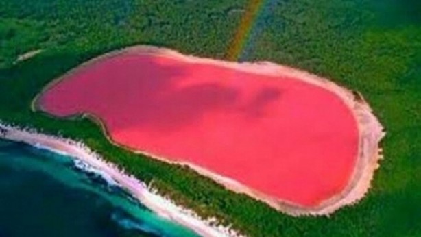Foto - Dünyada sadece sekiz tane var: Birisi Türkiye'de