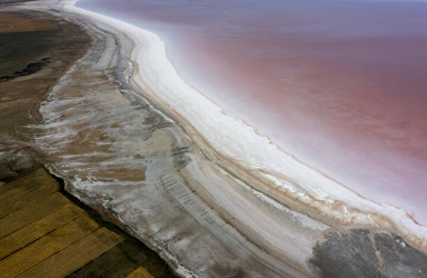 Foto - Dünyada sadece sekiz tane var: Birisi Türkiye'de