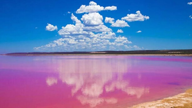 Dünyada sadece sekiz tane var: Birisi Türkiye'de