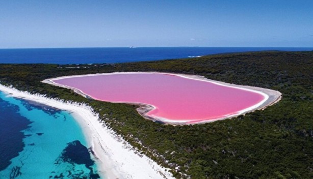 Foto - Dünyada sadece sekiz tane var: Birisi Türkiye'de