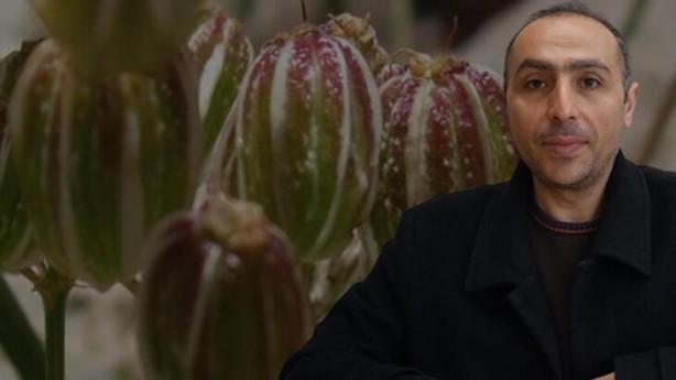 Dünyada sadece Tunceli’de var! Türk bilim insanı keşfetti