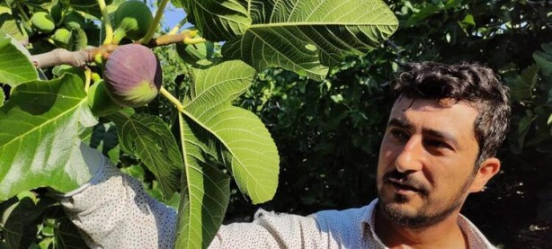 Foto - Dünyada sadece Türkiye'de var! Kilosu 25 lira