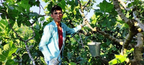 Foto - Dünyada sadece Türkiye'de var! Kilosu 25 lira