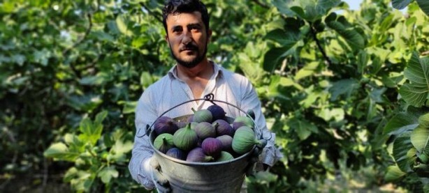Foto - Dünyada sadece Türkiye'de var! Kilosu 25 lira