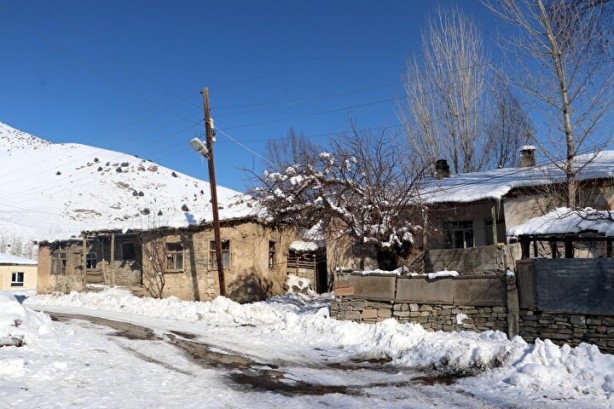 Foto - Dünyada sadece Van'da yetişiyor! Köylü bunun için büyükşehirlere gitmekten vazgeçti
