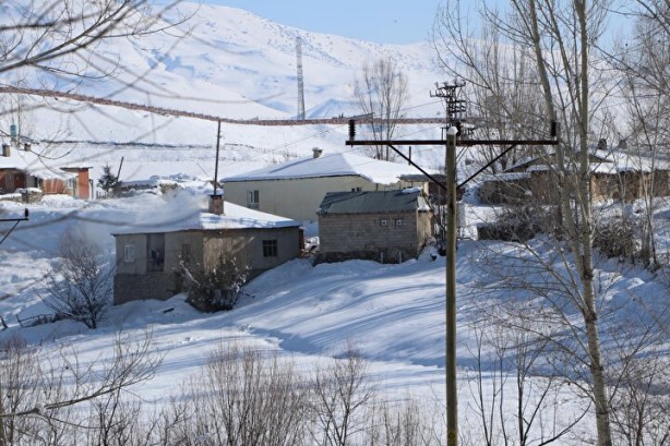 Foto - Dünyada sadece Van'da yetişiyor! Köylü bunun için büyükşehirlere gitmekten vazgeçti